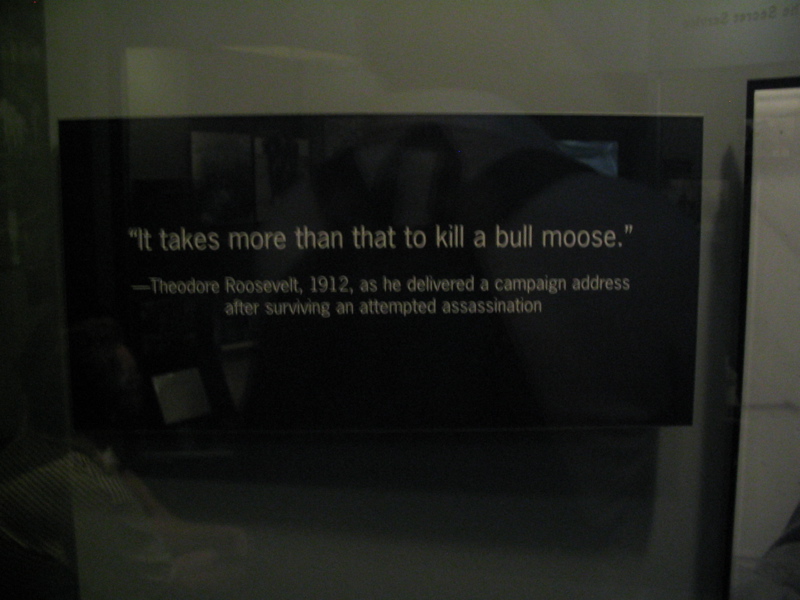 Roosevelt Quote